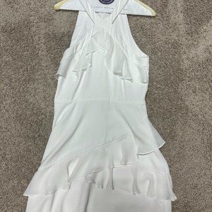Size 4 Parker Rikki Halter Neck White Dress